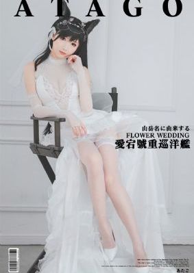 李算电视剧全集在线观看免费_DVD免费播放
