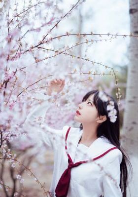 狂飙电视剧全集免费观看_BD韩语电影全集观看
